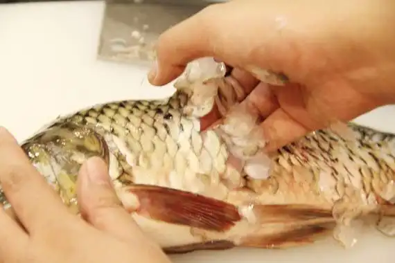 如何轻松完整的杀鱼
