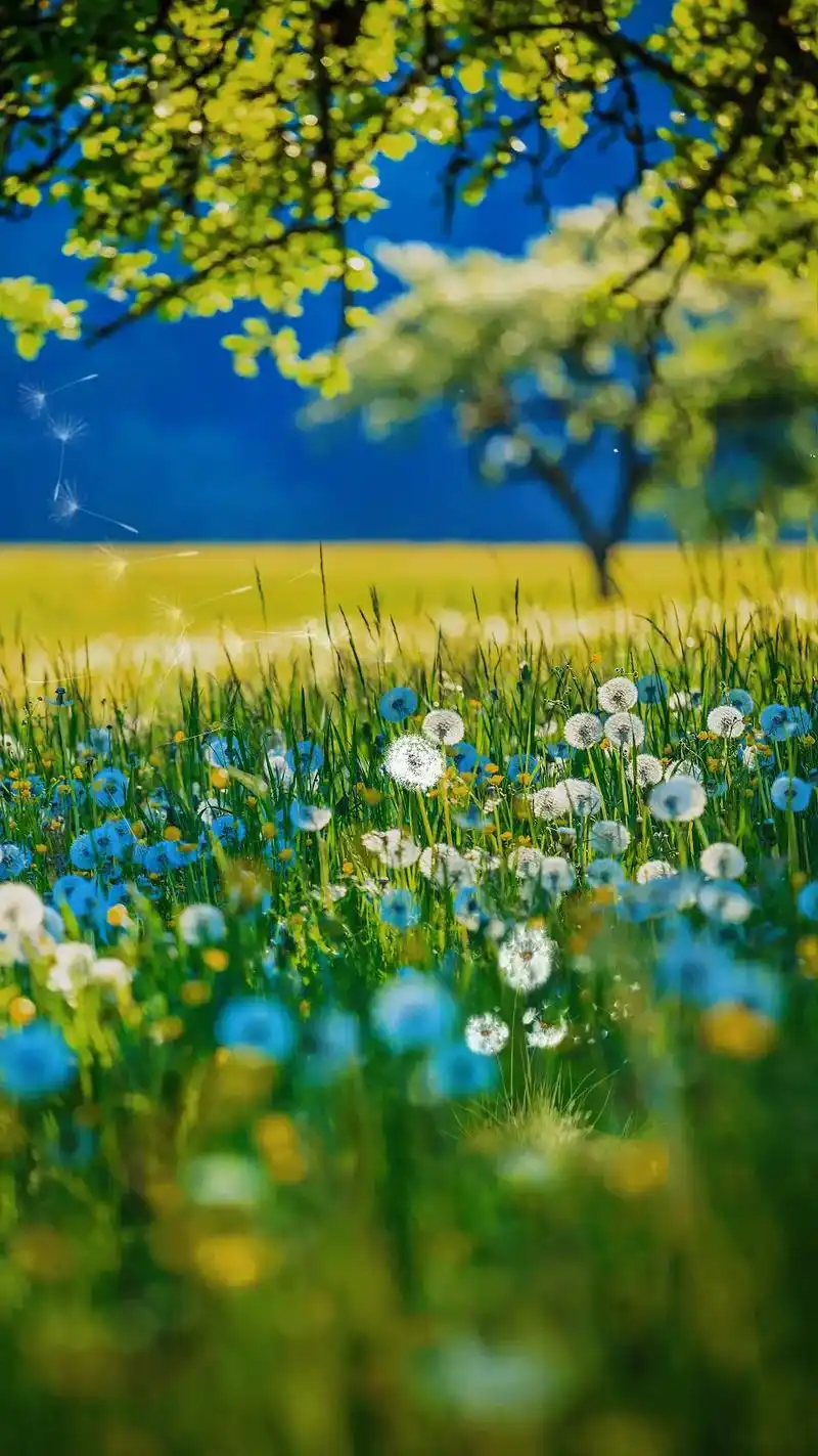 手机壁纸 #美出高级感 愿你的生活可以如诗般自由, 吃想吃 - 抖音