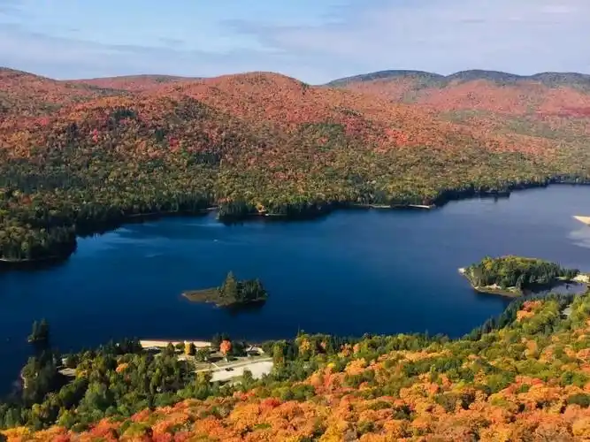 加拿大秋天枫叶