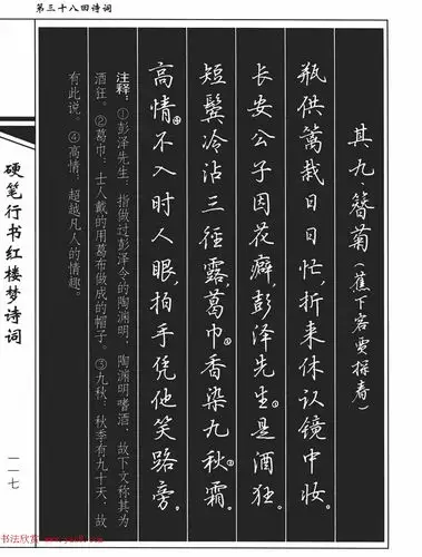 吴玉生钢笔字帖欣赏硬笔行书红楼梦诗词19