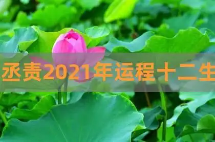李丞责2021年运程十二生肖,紫微算2022年运势,李居明2021生肖运势运程