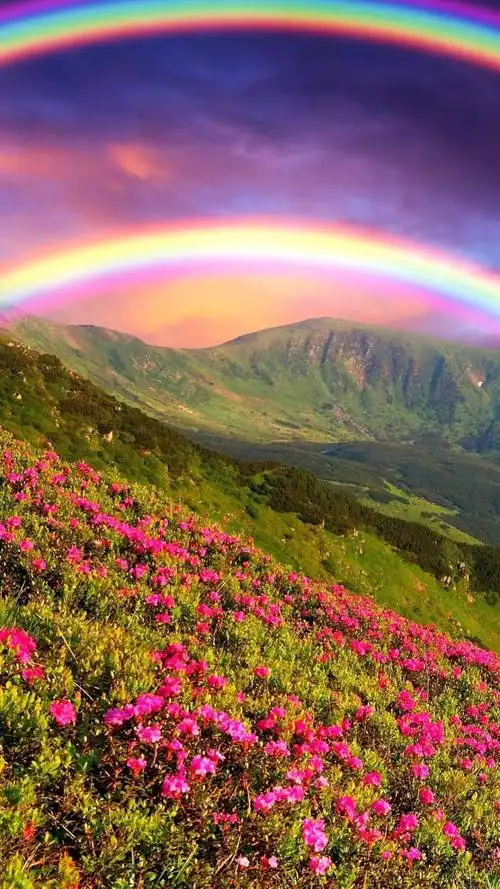 唯美花海,高清图片,手机锁屏桌面-壁纸族