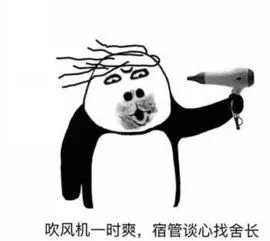 吹头发什么梗