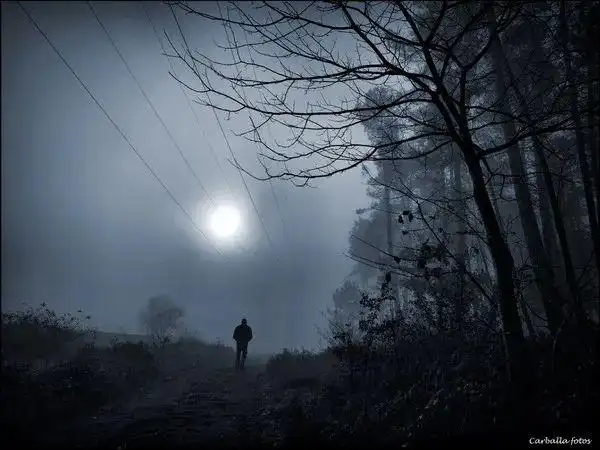 背影- guillermo carballa 摄影作品|背影|雨中|孤单_新浪新闻