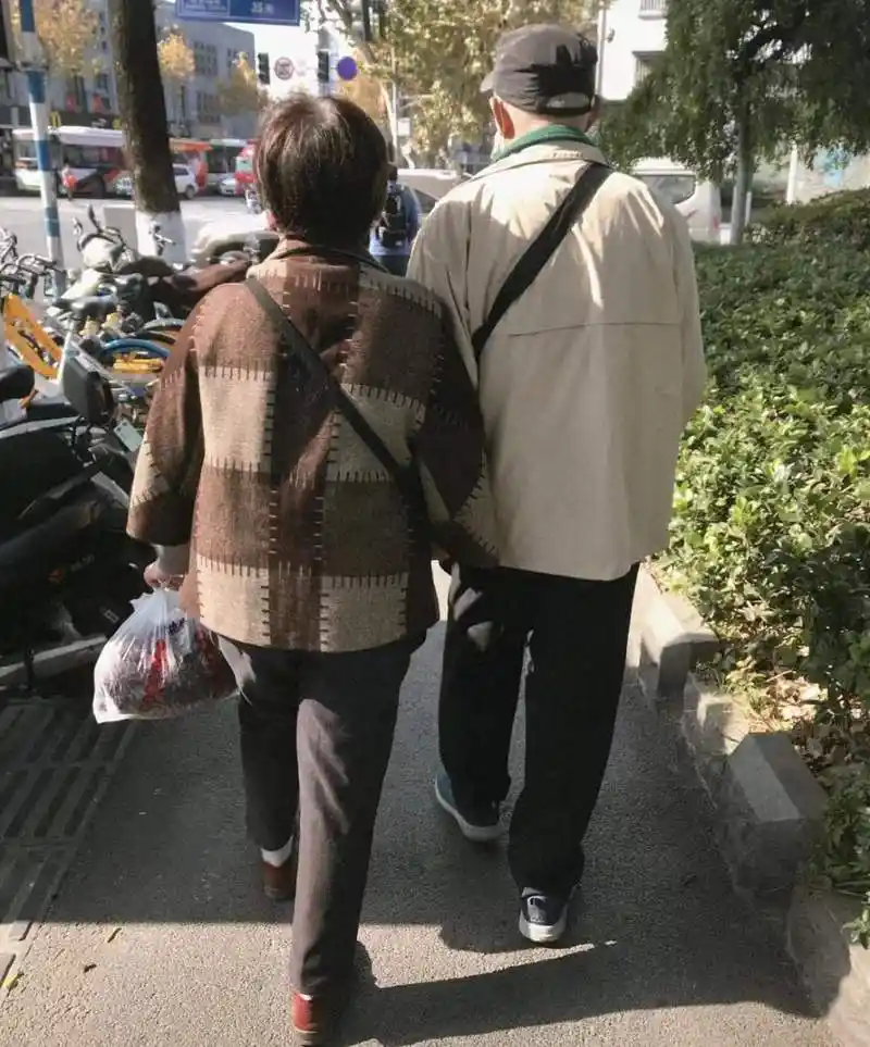 高清老年夫妻背影图片,老年夫妻夕阳下牵手背影唯美图片