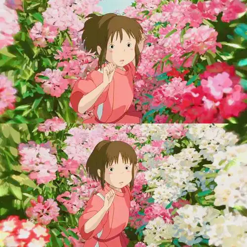 宫崎骏 动漫 千与千寻 无水印 感情 截图