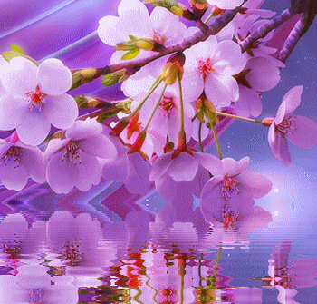 莫忘 不企求分分秒秒都拥有 惟愿且行且珍惜 缘来缘去,桃花六月漫天馨