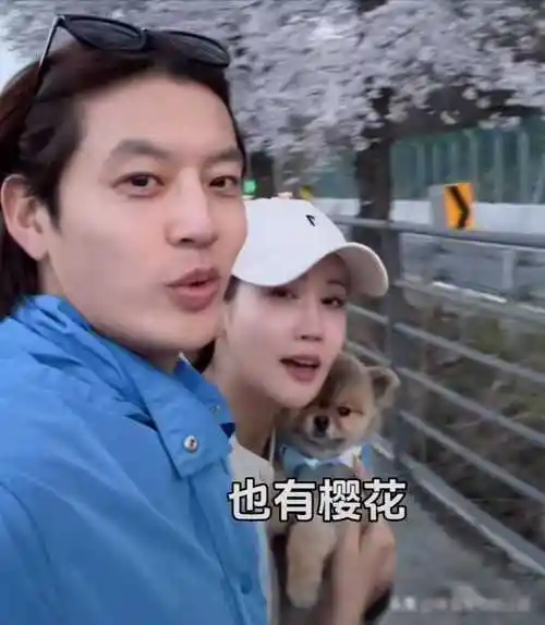李多海赏樱与男友,整容后惊艳众人,中文流利引关注_家庭_事业_李易峰