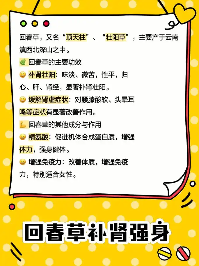 女人吃回春草的功效与作用 姐妹们有没有听说过回春草?