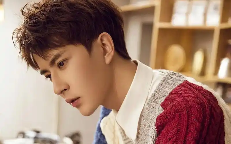 赏色于朦胧帅气写真