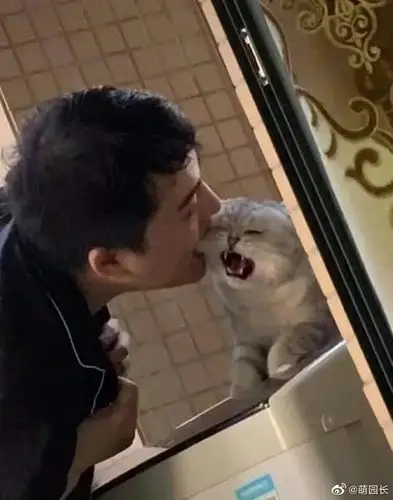 已找到求一个男的咬猫猫脸的图