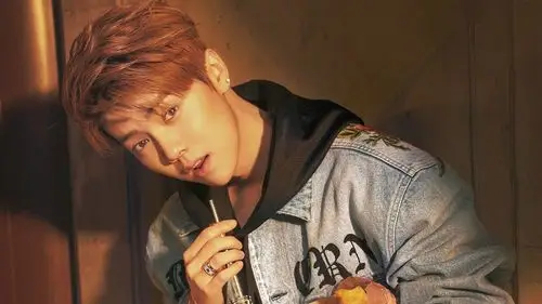 鹿晗帅气明星风尚壁纸