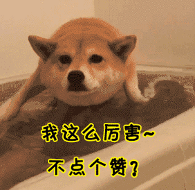 我厉害不图片_我厉害不动态图_我厉害不表情包gif动图下载_soogif