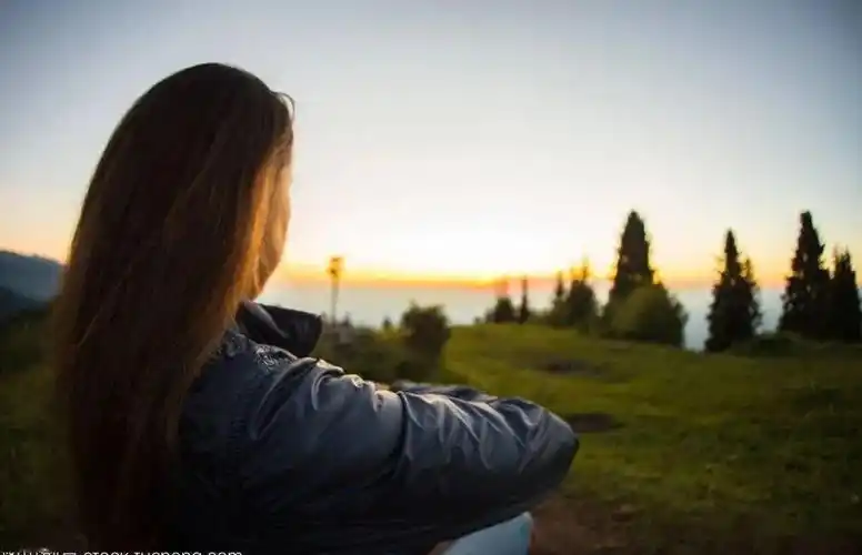 【岭南作家·同题诗47】心迹||谈生忠