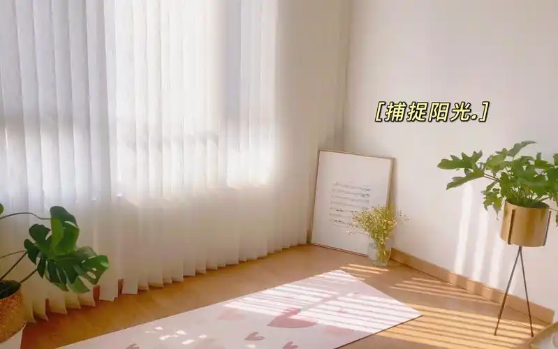 当阳光洒进来,竖直百叶窗真的很绝