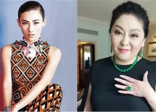 【图】向华强老婆陈岚年轻时照片惊艳四座 曾高调声援张柏芝