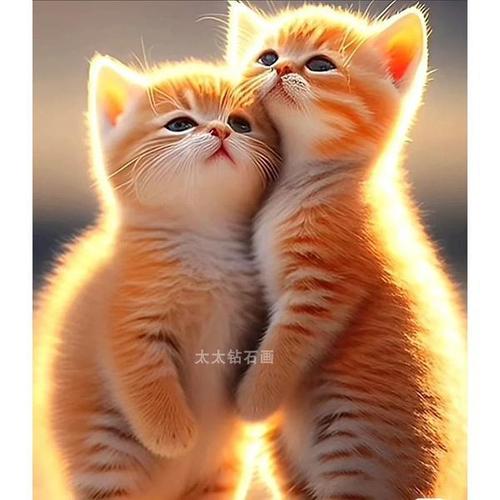 diy方钻满钻钻石画钻石绣两只可爱的猫咪手工贴钻十字绣带钻套件