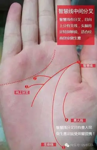 生命线断裂是手相大忌