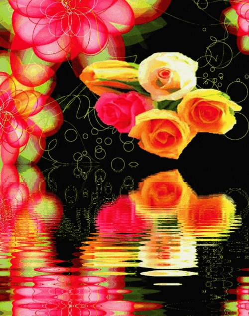 640_812竖版 竖屏gif 动态图 动图