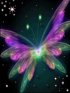 摄影 蝴蝶为花醉*花却随风飞