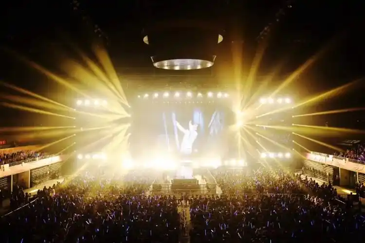 消失的"粉头",卷走粉丝应援众筹的153万