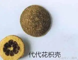 枳壳和枳实的区别枳实和枳壳有什么区别