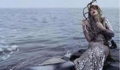 的,后来确定为黑鳞鲛人,即传说中的"美人鱼"在我国的古籍中也多见记载