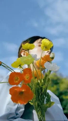 ins风文艺唯美小清新植物少女少年复古仙气森系手机壁纸闺蜜头像女生