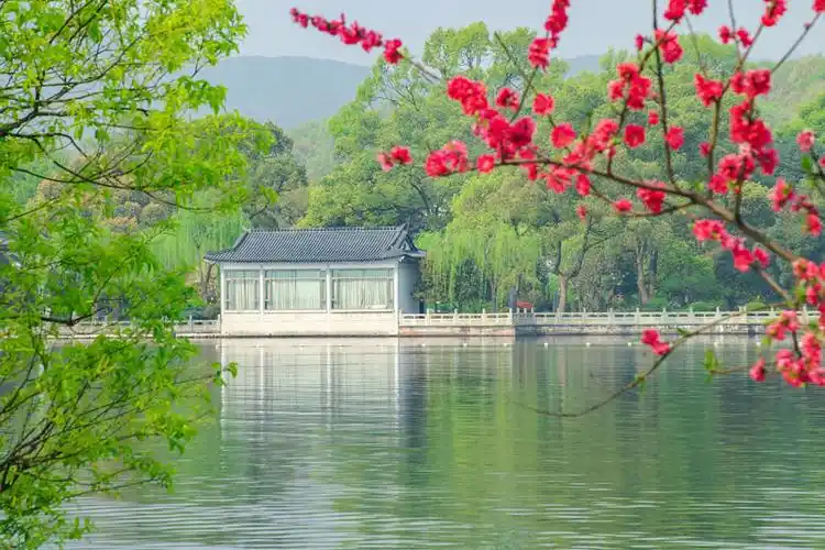 杭州西湖风光苏堤春晓