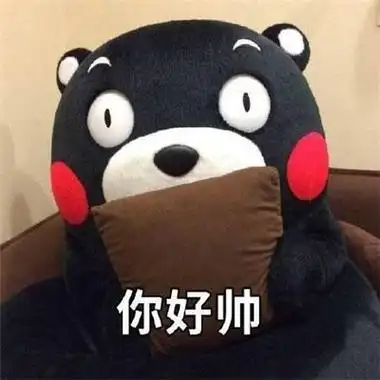 2021最新版熊本熊微信表情包超可爱的有趣的微信表情大全