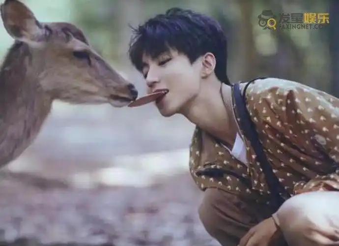 李佳宁王俊凯婚纱照李佳宁是谁跟王俊凯什么关系