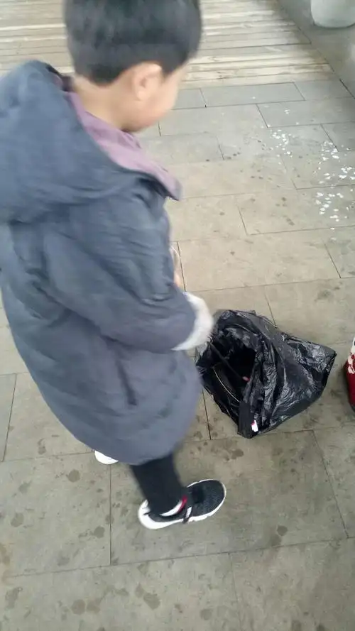 用我的小手为环境撑起一方天地