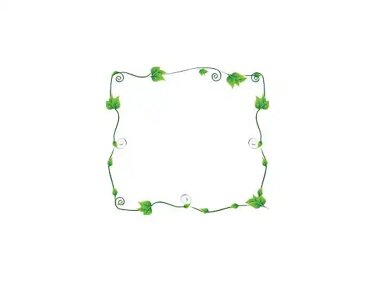 孤立在白色背景与修剪路径包括藤蔓圆形边框绿植小清新