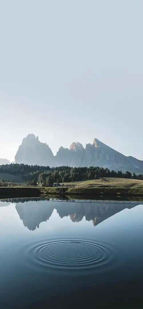 人到中年,活得越"简单"越好