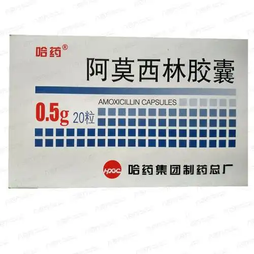 哈药 阿莫西林胶囊 0.5gx10粒x2板/盒