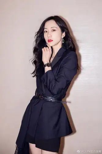 穿西装的女明星咏梅袁泉陈数俞飞鸿梅婷