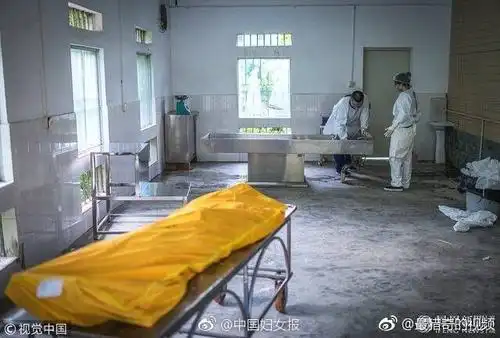 解剖上千具尸体女法医:我们是正常人