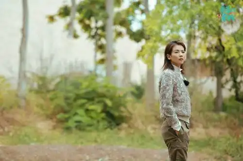 刘涛三档综艺同播 周末输出密集"看点"