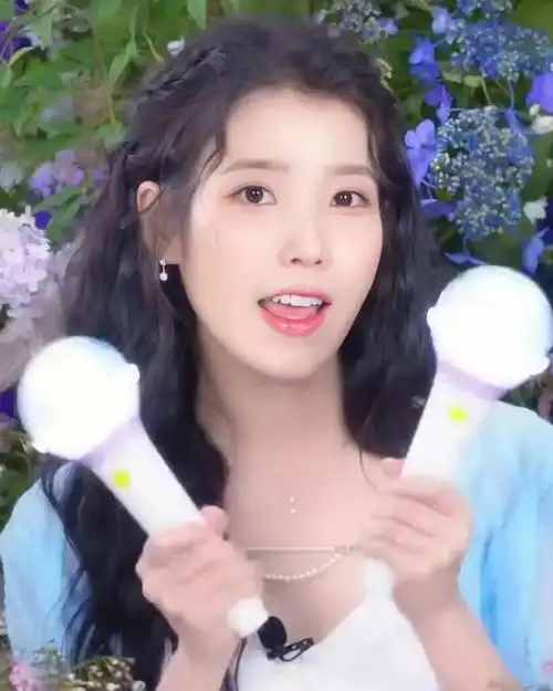 iulilac应援法饭修图