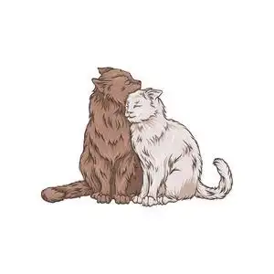 可爱的两个拥抱猫宠物动物手绘矢量插图照片