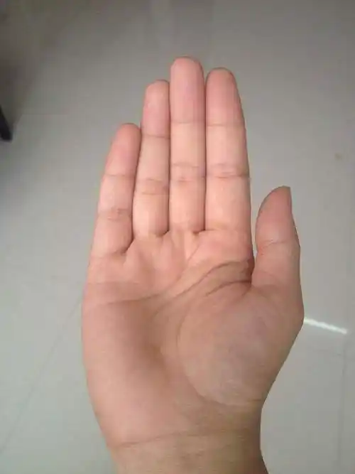 健康线长在手掌哪里(健康线在手掌什么位置)