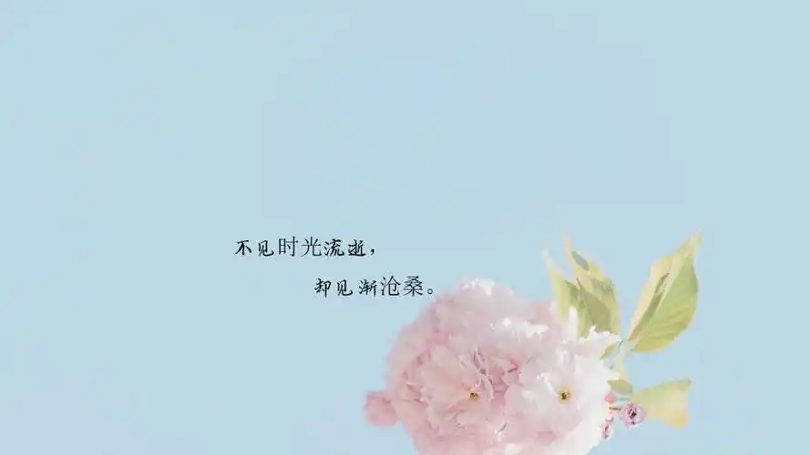 时光匆匆流逝的说说配图