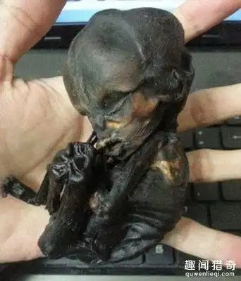 揭秘养小鬼有多恐怖