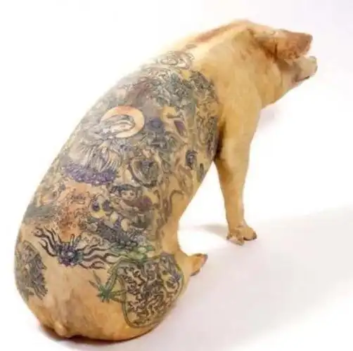 黄埔纹身培训社会猪来了