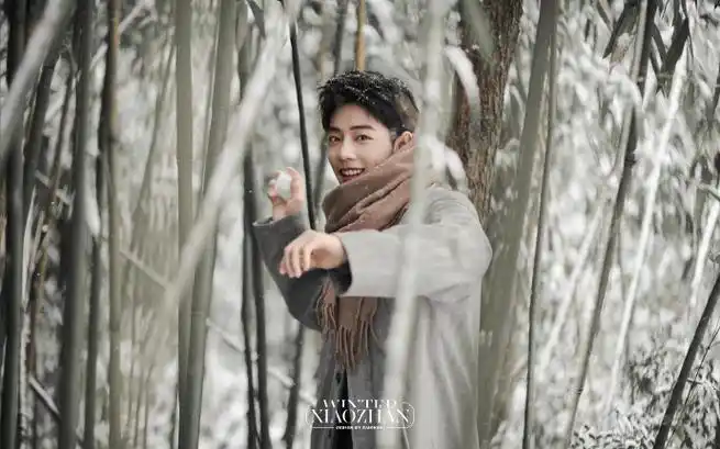 肖战冬至竹林大片##肖战