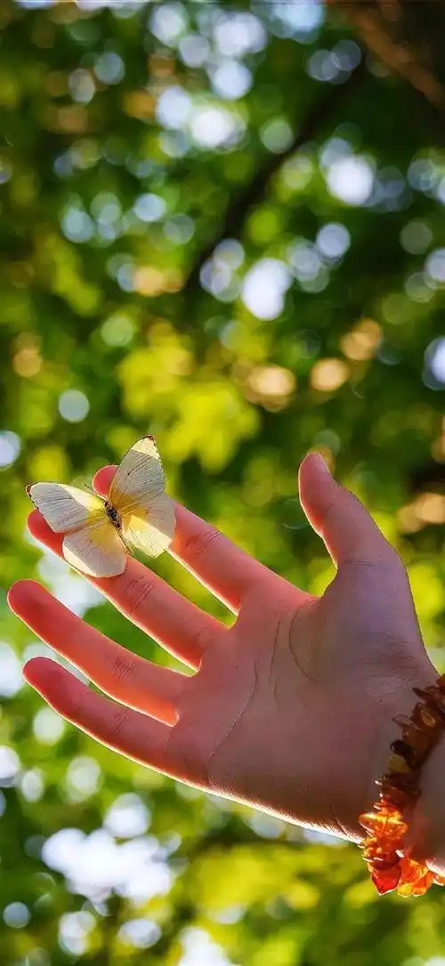 壁纸 | iphone 高质感壁纸(4k高清)