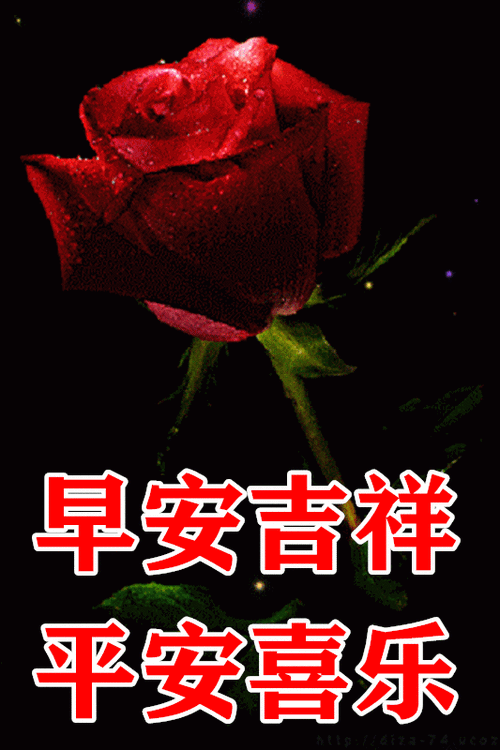 1月31日最漂亮早上好动态表情图片大全,早晨好动图美图大全_腾讯新闻