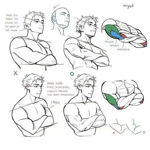 【绘画素材】肩膀怎么画?一组肩膀结构绘画解析,一起来学习!