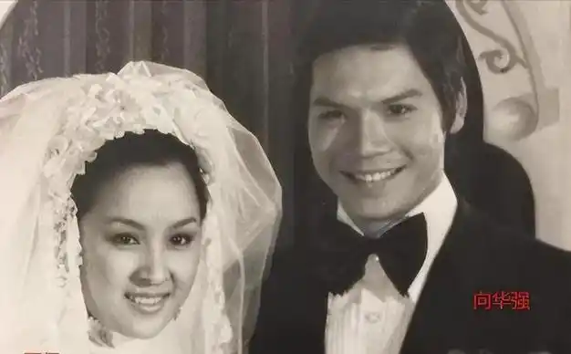 向华强的烦恼:优秀的大女儿不婚不育,宠爱的两个儿子却扶不上墙