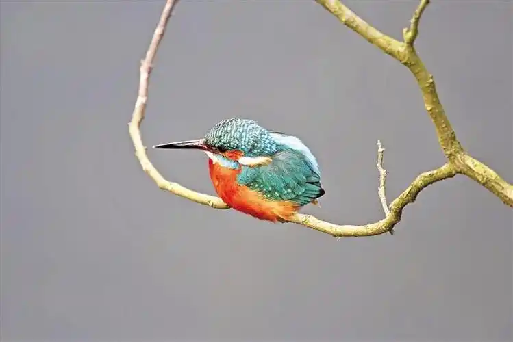 依法保护湿地 共享绿色空间|贵州省_新浪财经_新浪网